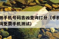 免费预测手机号码吉凶查询打分（手机号码测吉凶查询免费手机测试）