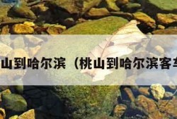 桃山到哈尔滨（桃山到哈尔滨客车）