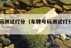 车牌号码测试打分（车牌号码测试打分超准周易）