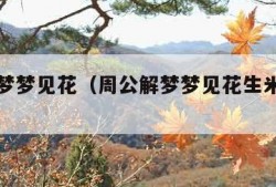 周公解梦梦见花（周公解梦梦见花生米是什么意思）