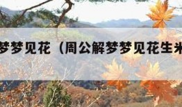 周公解梦梦见花（周公解梦梦见花生米是什么意思）