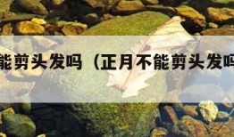 正月不能剪头发吗（正月不能剪头发吗为什么）