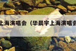 华晨宇上海演唱会（华晨宇上海演唱会门票价格）