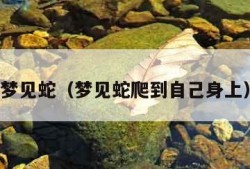 梦见蛇（梦见蛇爬到自己身上）