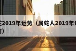 属蛇2019年运势（属蛇人2019年运势如何）