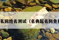 名典起名网姓名测试（名典起名网免费测试）