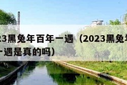 2023黑兔年百年一遇（2023黑兔年百年一遇是真的吗）