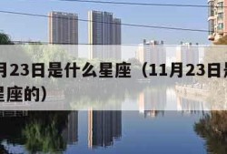 11月23日是什么星座（11月23日是什么星座的）