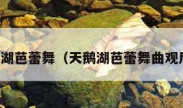 天鹅湖芭蕾舞（天鹅湖芭蕾舞曲观后感）