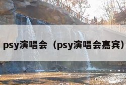 psy演唱会（psy演唱会嘉宾）