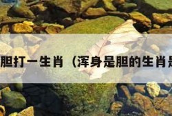 浑身是胆打一生肖（浑身是胆的生肖是什么）