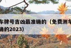 免费测车牌号吉凶最准确的（免费测车牌号吉凶最准确的2023）