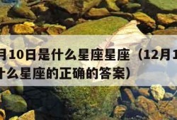 12月10日是什么星座星座（12月10日是什么星座的正确的答案）