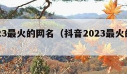 2023最火的网名（抖音2023最火的网名）