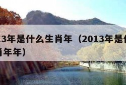 2013年是什么生肖年（2013年是什么生肖年年）