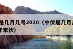 中伏是几月几号2020（中伏是几月几号2023年末伏）