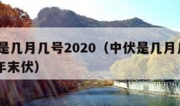 中伏是几月几号2020（中伏是几月几号2023年末伏）