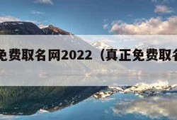 真正免费取名网2022（真正免费取名网名）