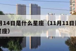 11月14日是什么星座（11月11日是什么星座）