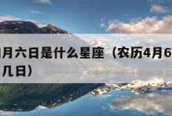 农历四月六日是什么星座（农历4月6日是阳历几月几日）