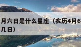 农历四月六日是什么星座（农历4月6日是阳历几月几日）