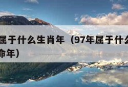 97年属于什么生肖年（97年属于什么生肖年本命年）