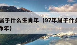 97年属于什么生肖年（97年属于什么生肖年本命年）