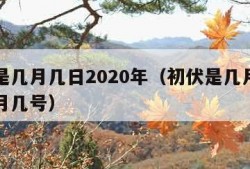 初伏是几月几日2020年（初伏是几月几号到几月几号）