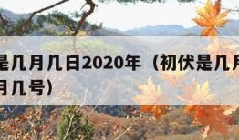 初伏是几月几日2020年（初伏是几月几号到几月几号）