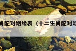 十二生肖配对姻缘表（十二生肖配对姻缘表图）