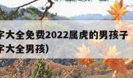 取名字大全免费2022属虎的男孩子（属虎起名字大全男孩）