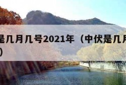 中伏是几月几号2021年（中伏是几月几号2020）