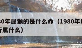 1980年属猴的是什么命（1980年属猴五行属什么）