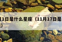 11月1日是什么星座（11月17日是什么星座）