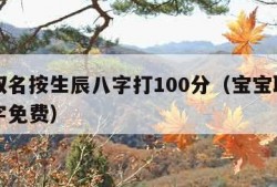 婴儿取名按生辰八字打100分（宝宝取名生辰八字免费）