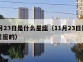 11月23日是什么星座（11月23日是什么星座的）