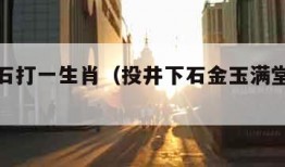 投井下石打一生肖（投井下石金玉满堂是什么生肖）