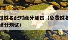 免费测试姓名配对缘分测试（免费姓名配对测试姓名缘分测试）