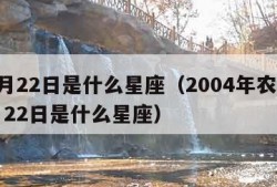 11月22日是什么星座（2004年农历11月22日是什么星座）