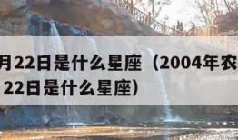 11月22日是什么星座（2004年农历11月22日是什么星座）