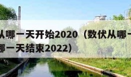 数伏从哪一天开始2020（数伏从哪一天开始到哪一天结束2022）