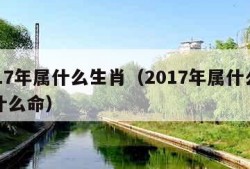 2017年属什么生肖（2017年属什么生肖什么命）