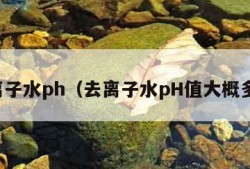 去离子水ph（去离子水pH值大概多少）