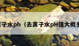 去离子水ph（去离子水pH值大概多少）