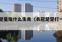 衣冠楚楚是指什么生肖（衣冠楚楚打一个生肖）