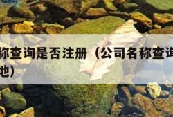 公司名称查询是否注册（公司名称查询是否注册新大地）