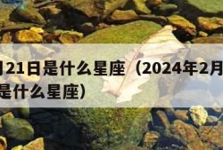 2月21日是什么星座（2024年2月21日是什么星座）