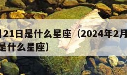 2月21日是什么星座（2024年2月21日是什么星座）