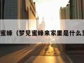 梦见蜜蜂（梦见蜜蜂来家里是什么意思）