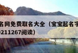 宝宝起名网免费取名大全（宝宝起名字大全免费2020211267阅读）